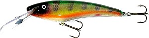 slammer 6 inch deep diver crankbait