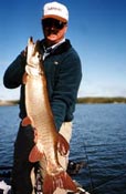 slammer musky fishing lures