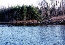 twitching a muskie bait